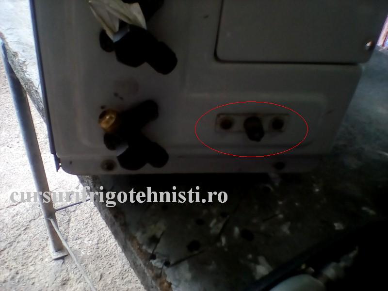 IMG_20160828_103500 (Custom).jpg