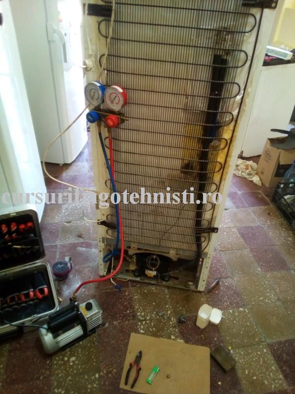 6 pus la vidat 20 min (Custom).jpg