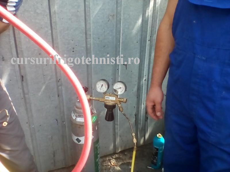 IMG_20160901_111634 (Custom).jpg