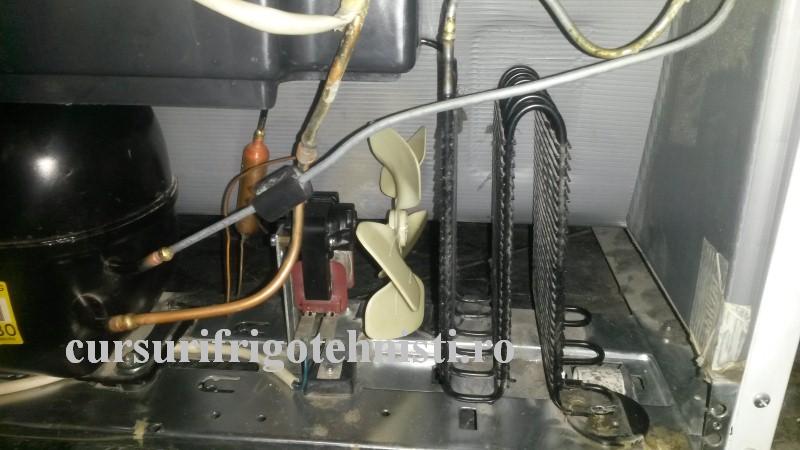 20160831_200815 (Custom).jpg