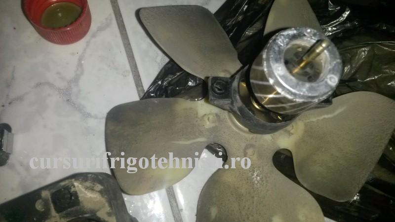 20160831_192703 (Custom).jpg