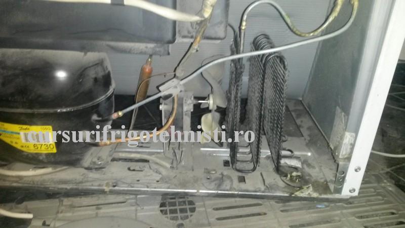 20160831_191552 (Custom).jpg