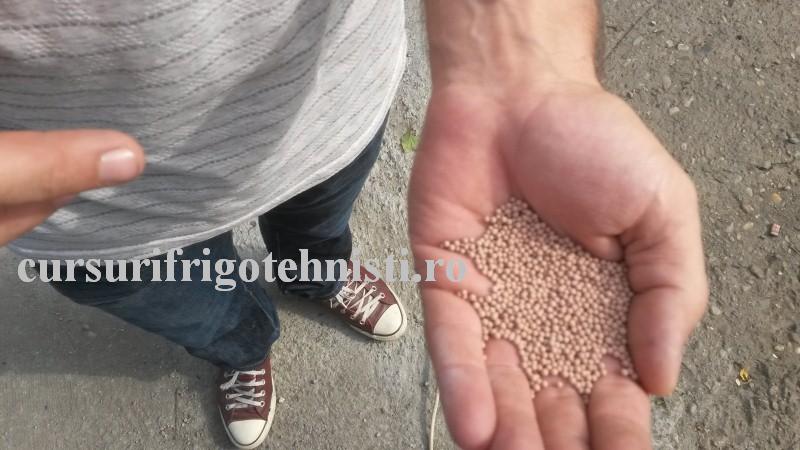 20160908_102658 (Custom).jpg