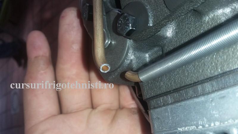 20160915_140133 (Custom).jpg