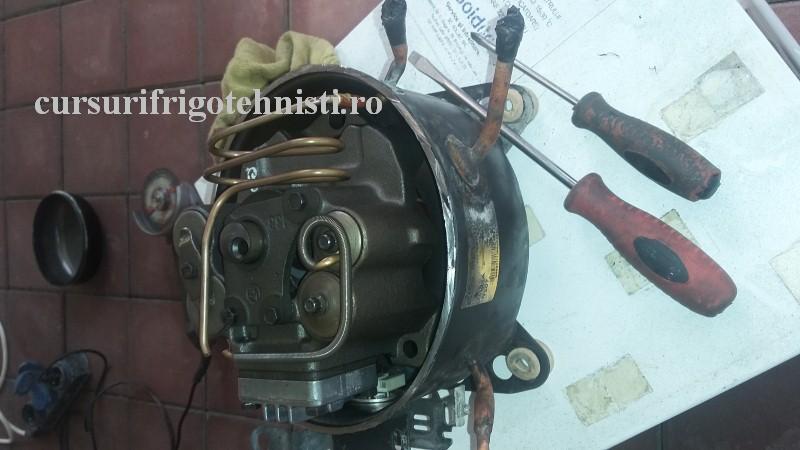 20160915_140157 (Custom).jpg