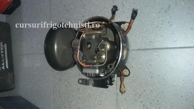 20160915_164831 (Custom).jpg