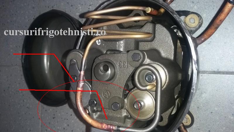 20160915_164750 (Custom).jpg