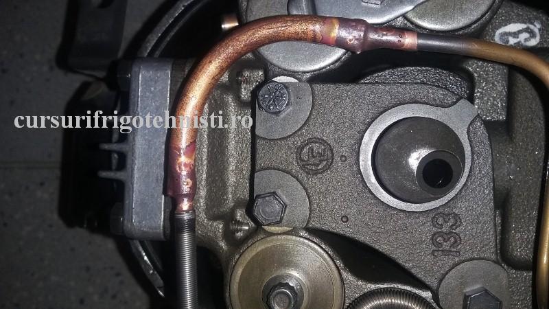 20160915_164731 (Custom).jpg