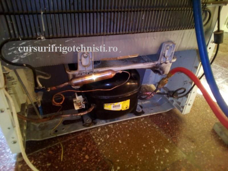 comp nou 2 (Custom).jpg