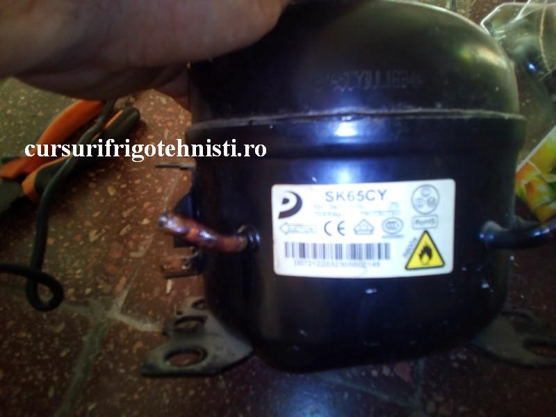 comp da la masa 1 (Custom).jpg