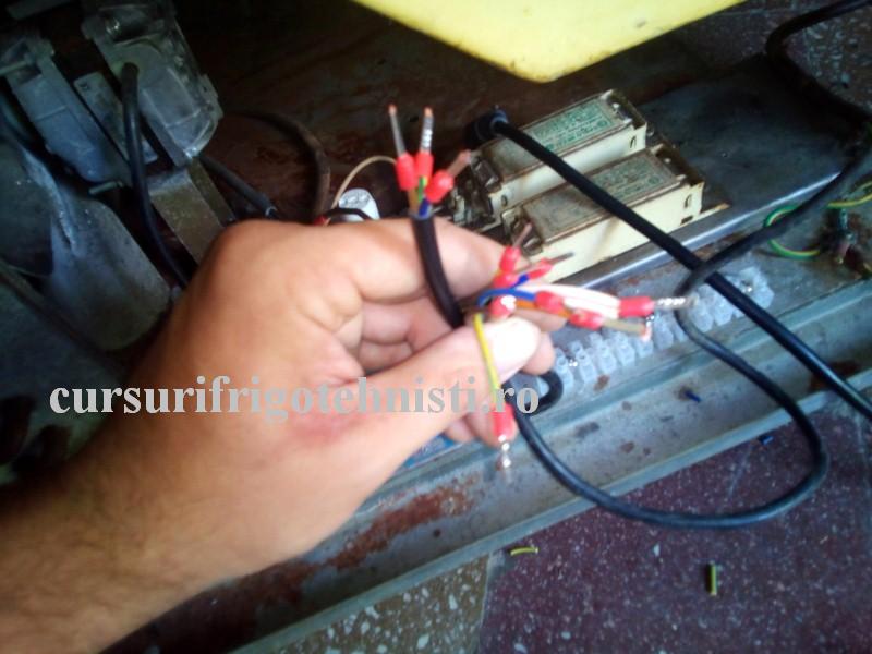 electrica era varza ,dar ii dau de cap (Custom).jpg