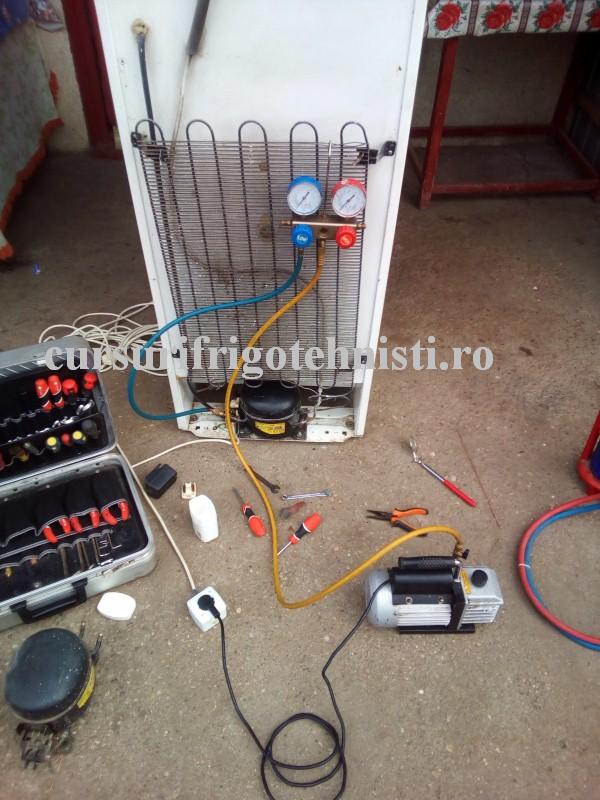 1 Arcticul cu comp ok (Custom).jpg