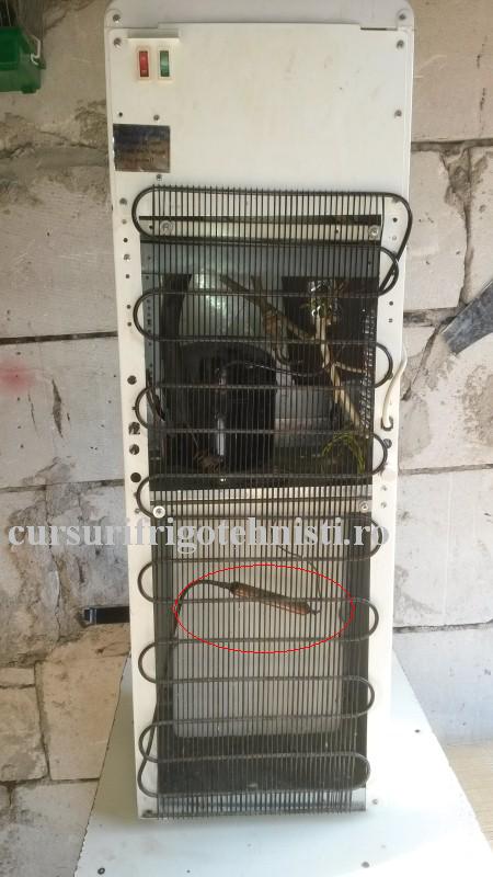 20161029_110904.. (Custom).JPG