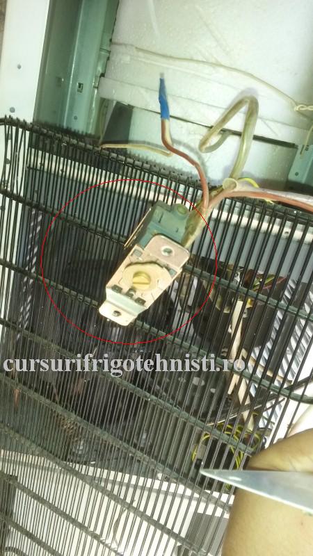 20161029_111440.. (Custom).JPG