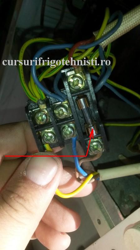 20161029_112822.. (Custom).JPG