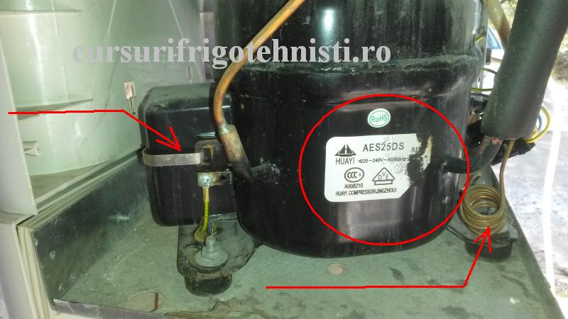 20161029_113833 (Custom).jpg