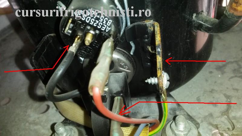 20161029_113928 (Custom).jpg