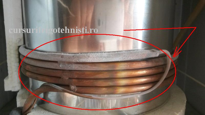 20161029_122403 (Custom).jpg