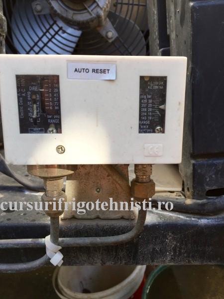 FullSizeRender_4. (Custom).JPG