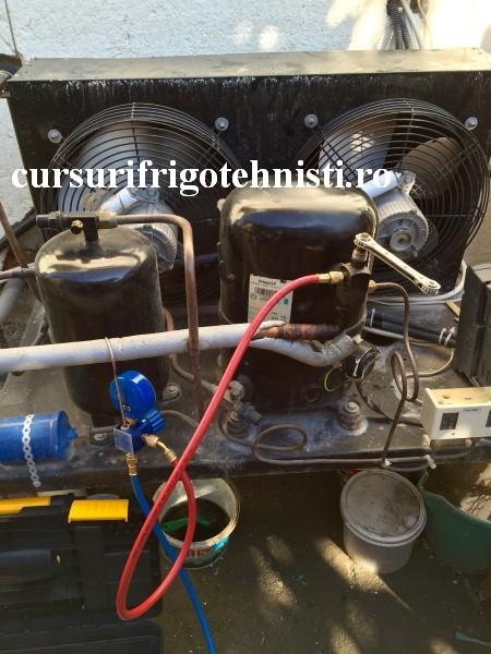 FullSizeRender_3. (Custom).JPG