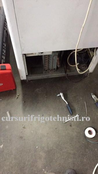 IMG_1420.. (Custom).JPG