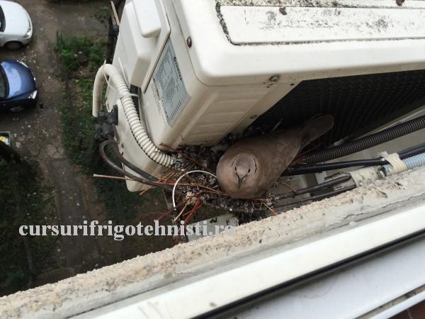 IMG_0963.. (Custom).JPG