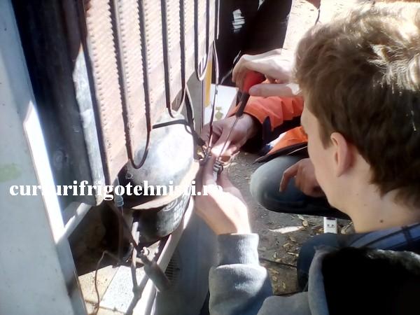 IMG_20161031_111640 (Custom).jpg