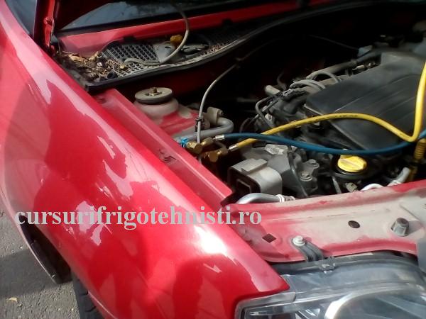 IMG_20161102_130338 (Custom).jpg