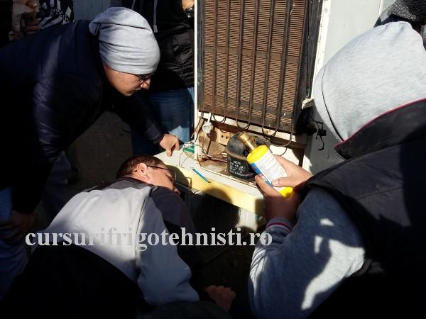 20161102_114815 (Custom).jpg