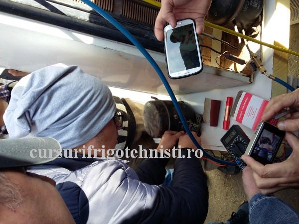 20161102_111312 (Custom).jpg