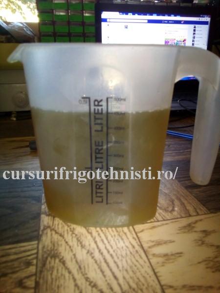 1 cana gradata (Custom).jpg