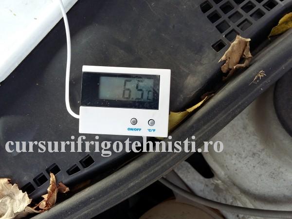 20161102_133636 (Custom).jpg