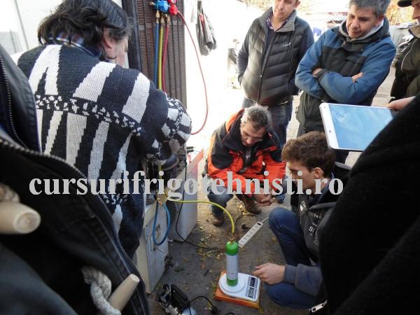 SAM_2703 (Custom).JPG