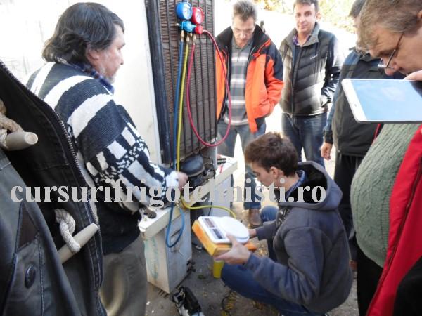 SAM_2702 (Custom).JPG