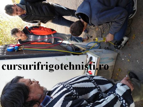 SAM_2698 (Custom).JPG