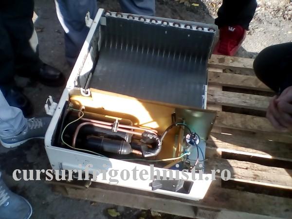 IMG_20161116_105638 (Custom).jpg