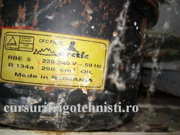 Daniel 2 (Custom).JPG