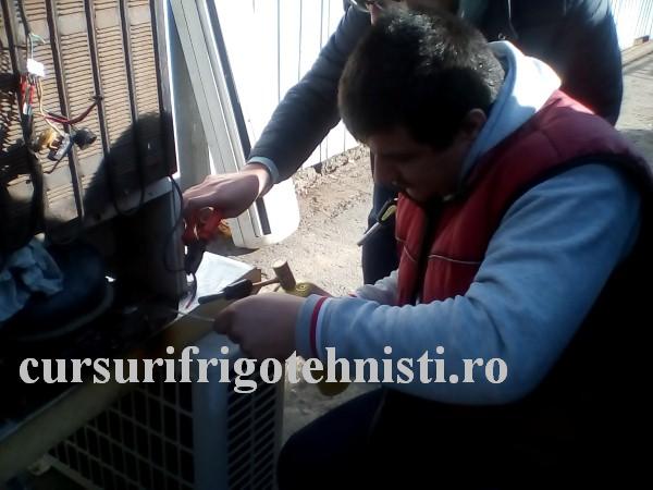 IMG_20161118_110016 (Custom).jpg