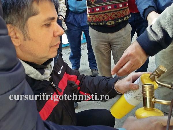 20161118_110100 (Custom).jpg