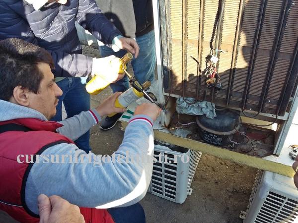 20161118_105637 (Custom).jpg