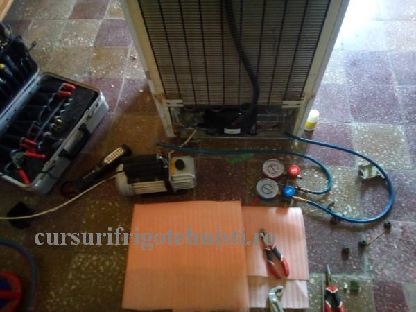 1 Pus la vidat (Custom).jpg