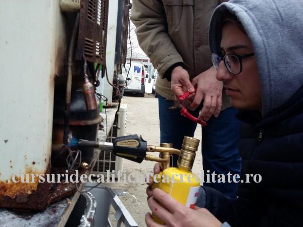 20161125_115620 (Custom).jpg