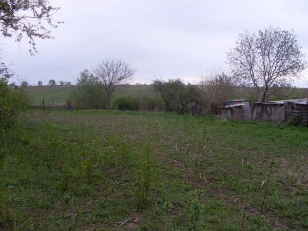 SDC10900 (Custom).JPG