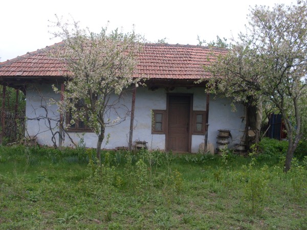 SDC10902 (Custom).JPG