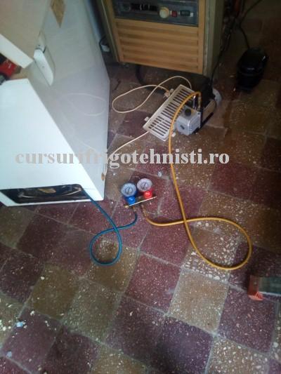 5 sta in vid (Custom).jpg