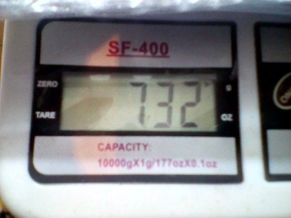 gr 7 grupa de martiri 1 (Custom).jpg