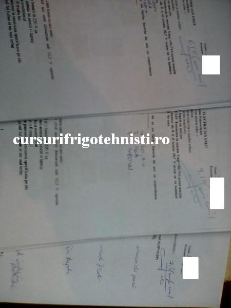 gr 7 grupa de martiri 3 (Custom).jpg