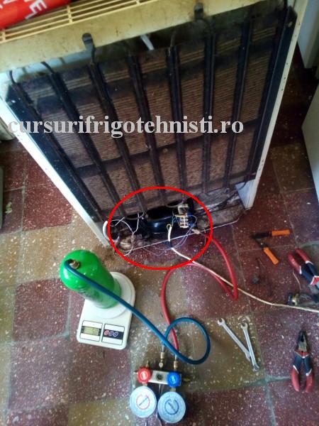 De mila lui l-am vopsit negru ,arata ca nou (Custom).jpg