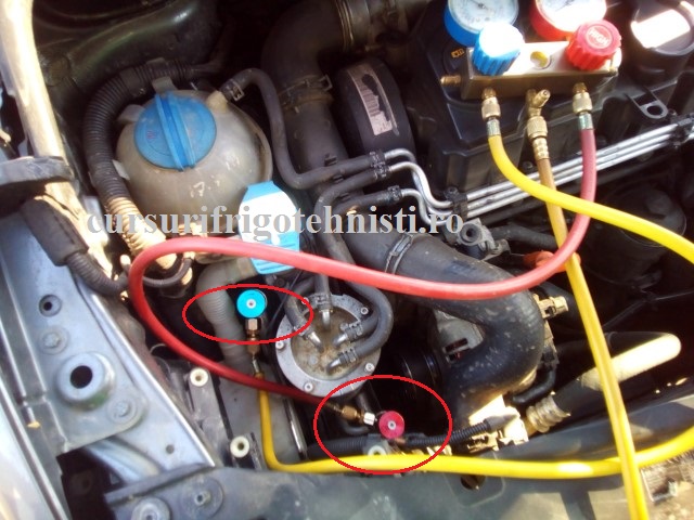 Montaj cuple (Small).jpg