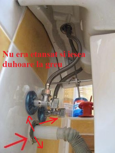 Traznea in baie de cadea cainele jos.jpg